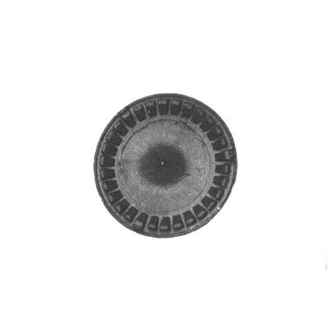 SP. OTT. ST.L/TIPO BECCHI UR - L0308 - immagine 1